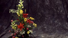 Landscapes nature HDR Photography