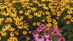 Landscapes nature HDR Photography