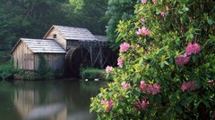 Landscapes nature HDR Photography