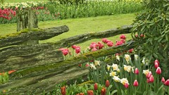 Landscapes nature HDR Photography