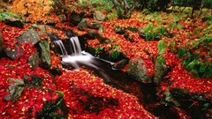 Landscapes nature HDR Photography