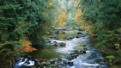 Landscapes nature HDR Photography