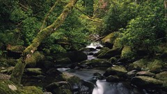 Landscapes nature HDR Photography