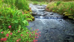 Landscapes nature HDR Photography