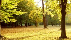 Landscapes nature HDR Photography