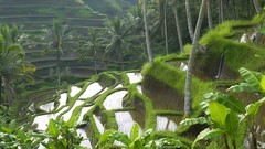 Landscapes nature HDR Photography