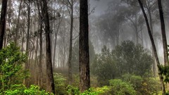 Landscapes nature HDR Photography