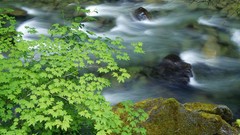 Landscapes nature HDR Photography