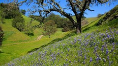Landscapes nature HDR Photography