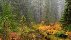 Landscapes nature HDR Photography