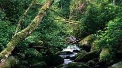 Landscapes nature HDR Photography