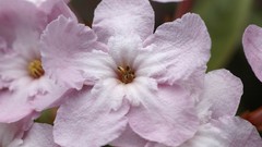 Landscapes nature HDR Photography