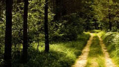 Landscapes nature HDR Photography