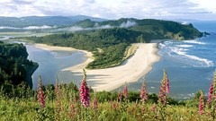 Landscapes nature head Oregon