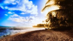 Landscapes nature heat sun clouds sky light coast palm trees 