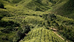 Landscapes nature highlands Malaysia fields national geographic