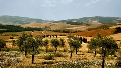 Landscapes nature hills