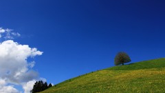 Landscapes nature hills