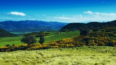 Landscapes nature hills