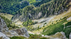 Landscapes nature hills Austria Alps rocks forests pine trees