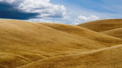 Landscapes nature hills grain waves fields
