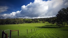 Landscapes nature hills home