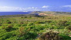 Landscapes nature Holidays happy