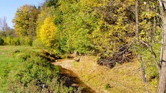 Landscapes nature Holidays happy