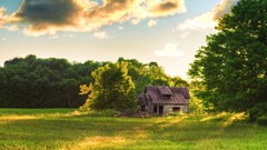 Landscapes nature Holidays happy