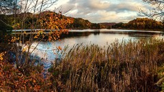 Landscapes nature Holidays happy