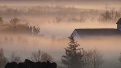 Landscapes nature Horses