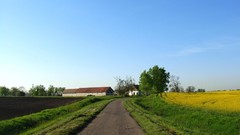 Landscapes nature House paths