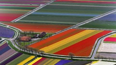 Landscapes nature houses fields multicolor