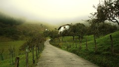 Landscapes nature houses fog
