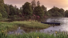 Landscapes nature Ireland dock lakes