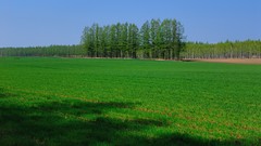 Landscapes nature Japan