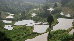 Landscapes nature Japan