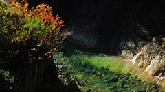 Landscapes nature Japan