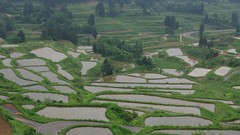 Landscapes nature Japan