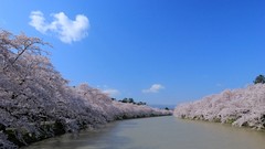 Landscapes nature Japan
