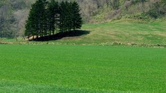 Landscapes nature Japan