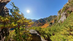 Landscapes nature Japan forests