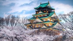 Landscapes nature Japan temple blossom oriental natural scenery
