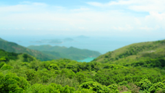 Landscapes nature jungle forests