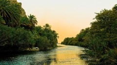 Landscapes nature jungle rivers