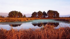 Landscapes nature lakes