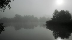 Landscapes nature lakes