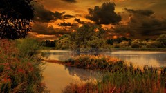 Landscapes nature lakes