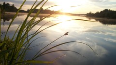 Landscapes nature lakes