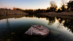 Landscapes nature lakes